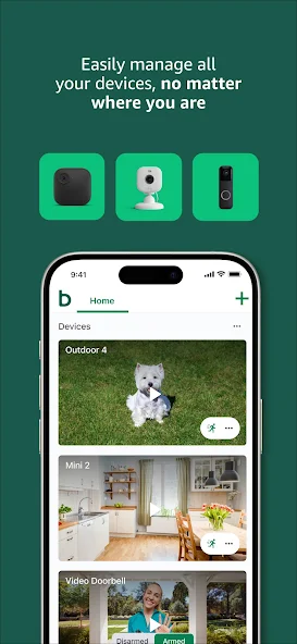 Screen