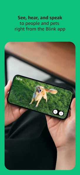 Screen